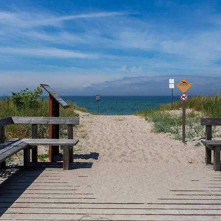 Strandlaeufer 01